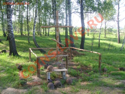 Репортаж в ЧП про клад и копателей - Изображение 241