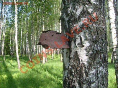 Репортаж в ЧП про клад и копателей - Изображение 247
