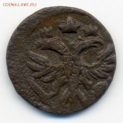 Полушка Петра 1 - аверс. - полушка-ВРП-1720_А