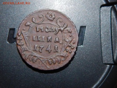 Полушки 1741,1730,1731 - RSCN6879.JPG