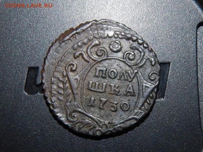 Полушки 1741,1730,1731 - RSCN6890.JPG
