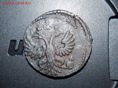 Полушки 1741,1730,1731 - RSCN6889.JPG
