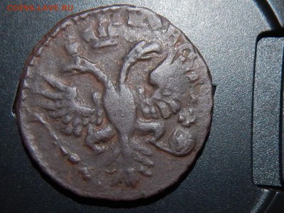 Деньга 1730, 1731 - RSCN6893.JPG