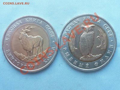 КРАСНАЯ КНИГА 1991г. до 11.01.11 в 22-00 - MEMO0010.JPG