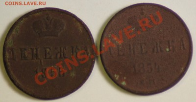денежка 1854,55,59 ем до10.01.11 по 21.00 Москва - IMG_0320