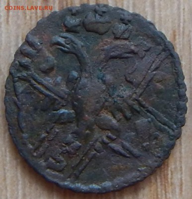 Полушка 1731г - 4