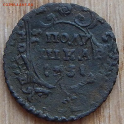 Полушка 1731г - 3
