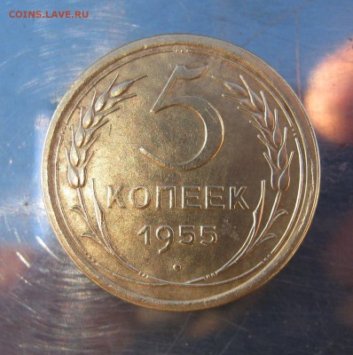 5 копеек 1955 год. до 3.12 в 22-00 - IMG_6117.JPG