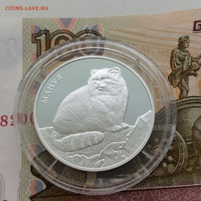 2 рубля 2016 года Манул - IMG_1755.JPG