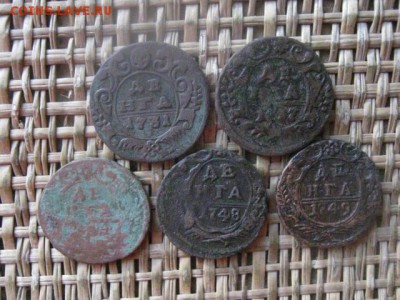 Деньга, 5 шт. 1731-1749г. До 8.12.2016г. - 028.JPG