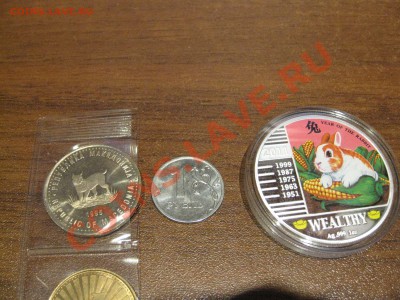 5.01.11 в 21-00  Новогодний Конкурс- победителям подарки! - IMG_0142_thumb