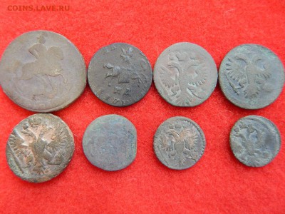 Деньга,полушка,копейки с 1710 по 1760 гг. 8 штук. - DSCN0995[1].JPG