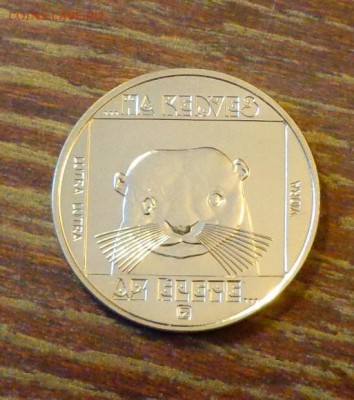 ВЕНГРИЯ - 100ф. ВЫДРА до 9.12, 22.00 - Венгрия - 100ф Выдра