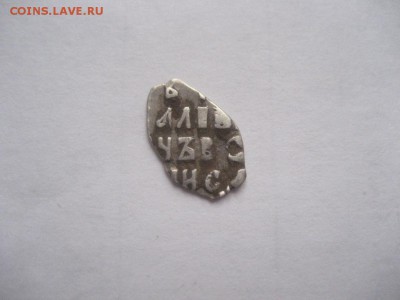 Чешуя. Определение и оценка - IMG_7042.JPG