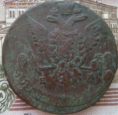 5 к 1769 г до 22.00  6 декабря - Изображение 10501