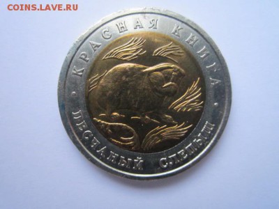 с 200 кк 1994 Слепыш до 09.12.2016 в 22:30 - IMG_1442.JPG