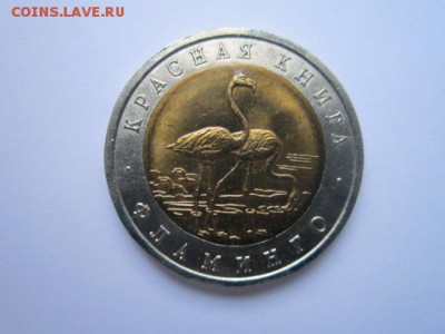 с 200 кк 1994 Фламинго до 09.12.2016 в 22:30 - IMG_1430.JPG