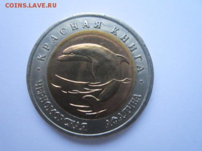 с 200 кк 1993 Афалина до 09.12.2016 в 22:30 - IMG_1466.JPG