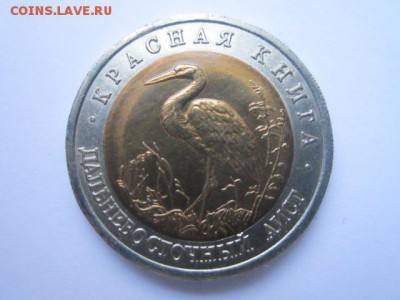 с 200 кк 1993 Аист до 09.12.2016 в 22:30 - IMG_1474.JPG