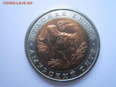 с 200 кк 1992 Тигр до 09.12.2016 в 22:30 - IMG_1454.JPG