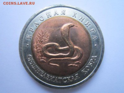 с 200 кк 1992 Кобра до 09.12.2016 в 22:30 - IMG_1458.JPG