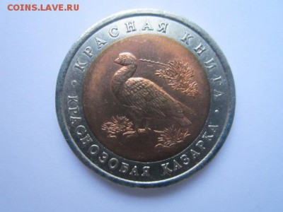 с 200 кк 1992 Казарка до 09.12.2016 в 22:30 - IMG_1462.JPG