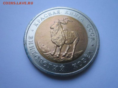 с 200 кк 1991 Козёл до 09.12.2016 в 22:30 - IMG_1483.JPG