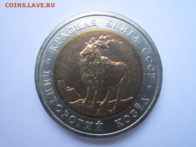 с 200 кк 1991 Козёл до 09.12.2016 в 22:30 - IMG_1482.JPG