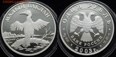 1 рубль 2003г. "Малый баклан" ---08-12-16 в 22-00--- - 1руб2003Баклан_1_1