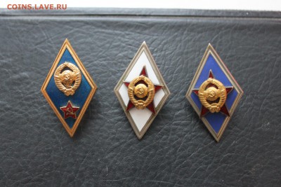 у - IMG_2464.JPG