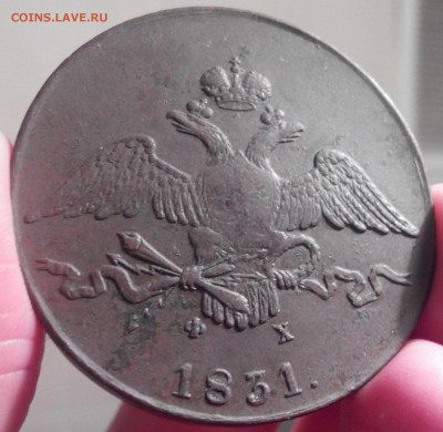 10 копеек 1831 ем фх, до 08.12.16 - 20151202224228