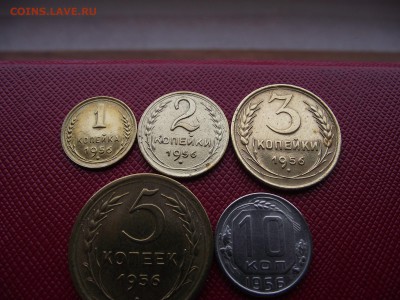 Весь 1956 год до 8.12.16 - DSCF6679.JPG