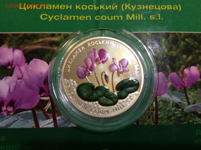 Украина 2гр.2014г.блистер(цикломен)цветная до 08.12.16 22:15 - IMG_0440[1].JPG