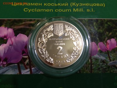 Украина 2гр.2014г.блистер(цикломен)цветная до 08.12.16 22:15 - IMG_0439[1].JPG