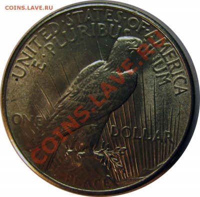 N37 Peace Dollar 1925 UNC до 13.01 в 22°° - N37 Peace Dollar1925 UNC_2