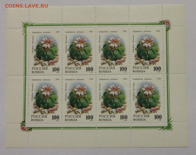 л Кактусы 1994 до 09.12 - IMG_0146.JPG
