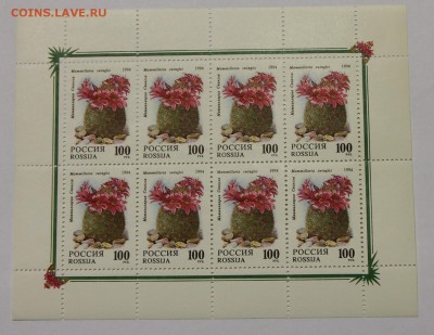 л Кактусы 1994 до 09.12 - IMG_0149.JPG