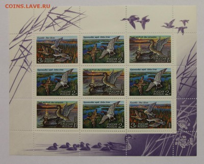 л Утки 1992 до 09.12 - IMG_9863.JPG