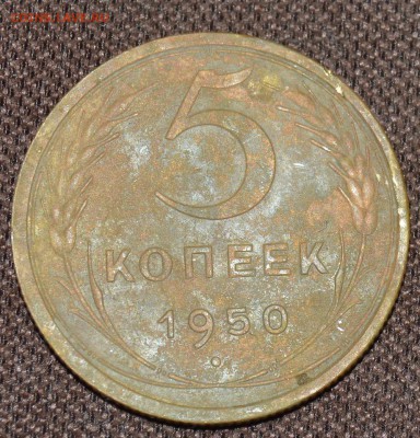 5 копеек 1950: определение шт. - DSC_2230.JPG