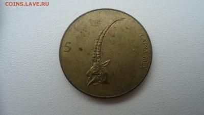 СЛОВЕНИЯ 5 ТОЛАРОВ 1993 ДО 12.12 22:00 МСК - DSC03508.JPG