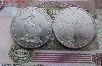Казахстан 50 тенге 2010г Кудрявый пеликан Крас. книга,Мешков - е.JPG