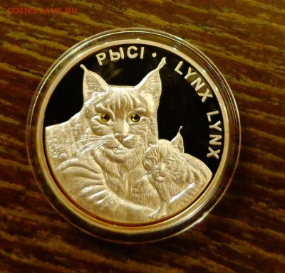 БЕЛАРУСЬ - РЫСЬ С РЫСЕНКОМ до 13.12, 22.00 - Беларусь Рысь с рысенком