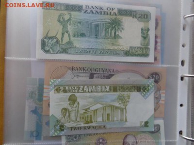 Замбия 2 и 20 квачу  198-89г г UNC  до 21-10 мск  13.12 - DSC06820.JPG