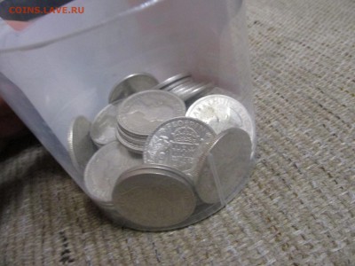 Флорины Австралия - IMG_3568.JPG