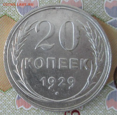 20 копеек 1929 года до 22-00 11.12.2016 года - IMG_8628.JPG