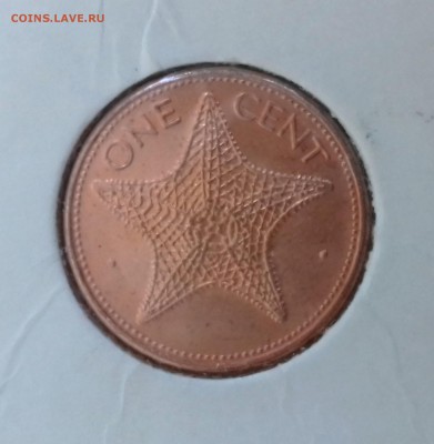 Морская звезда - БАГАМСКИЕ ОСТРОВА 1 цент 1998 20161208_121609