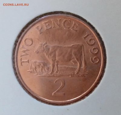 Коровы - ГЕРНСИ 2 пенса 1999 20161208_152505