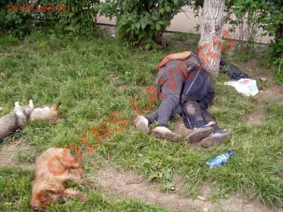 ФОТО - просто фото. Те что получились удачными. - P1010080_измененный.JPG