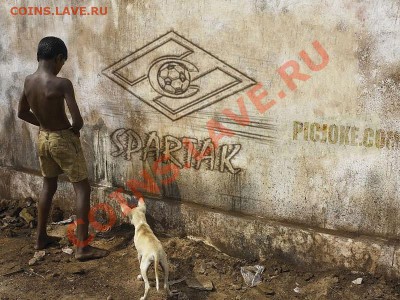 ФОТО - просто фото. Те что получились удачными. - y_3d4e37de