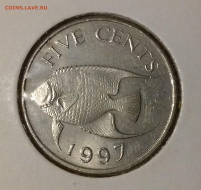 Королевская рыба-ангел - БЕРМУДЫ 5 центов 1997 20161208_193515
